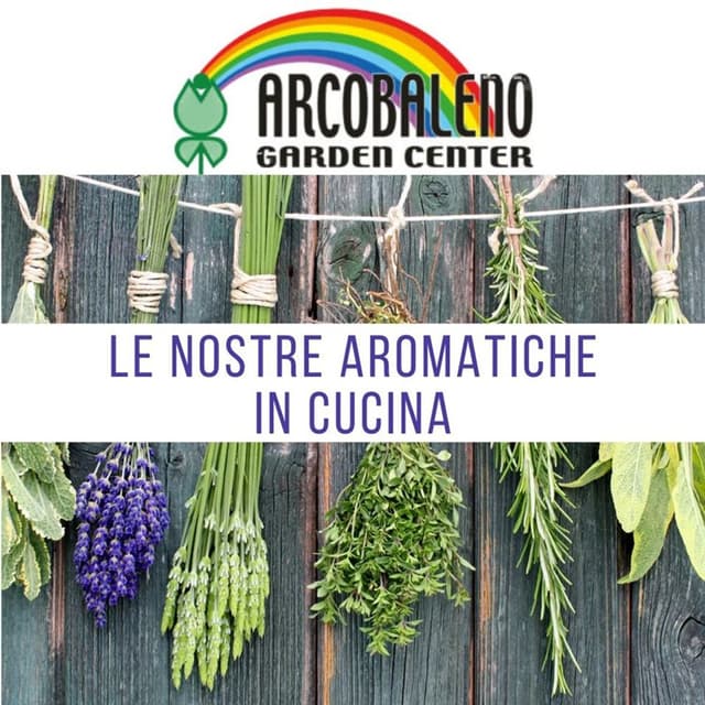 Arcobaleno Garden - Immagine 1