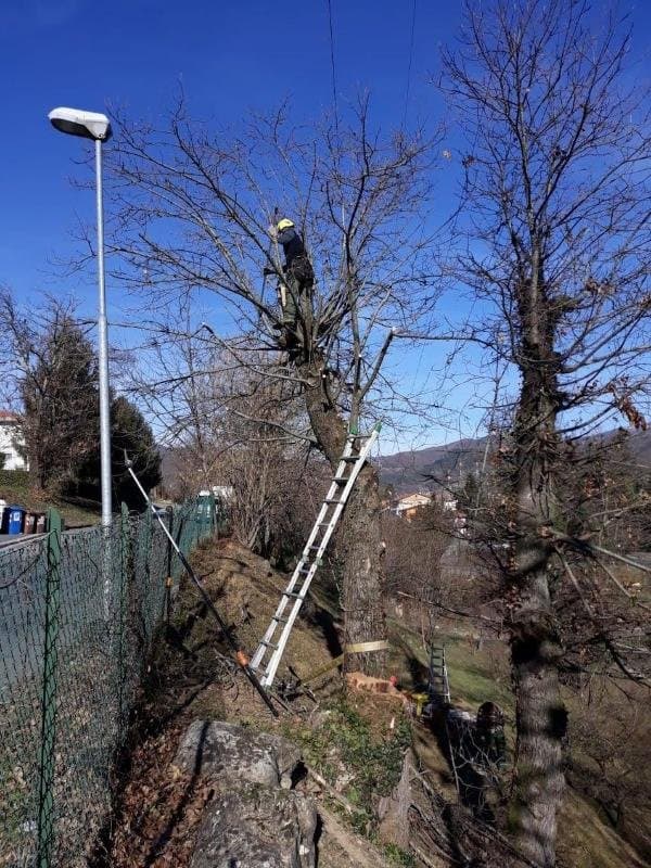 Armanetti Giardini - Immagine 1