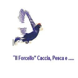 Armeria "Il Forcello" - Immagine 2