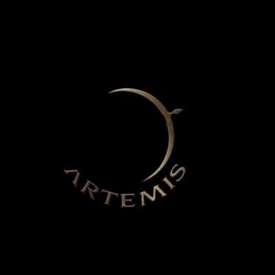 Artemis Consultancy - Immagine 1
