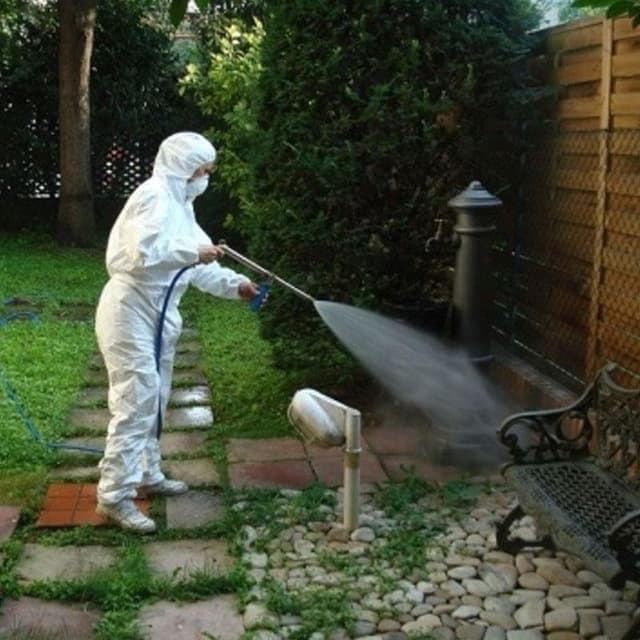 A.S. L'Arte del Servizio - Immagine 1