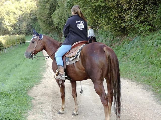 A.S.D. Horse Valley - Immagine 2