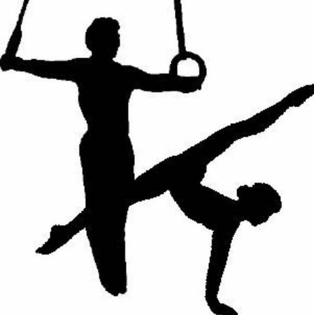 A.S.D. Polisportiva Jolly Vinovo - Immagine 2