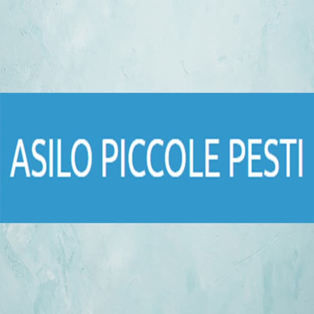 Asilo Piccole Pesti - Immagine 2
