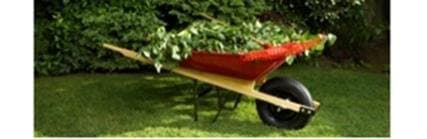 Astati F.lli Garden Vivai Piante - Immagine 2