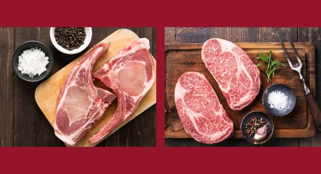 Astro Carni - Immagine 1