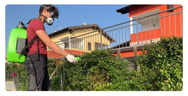 Auracom Group - Immagine 1