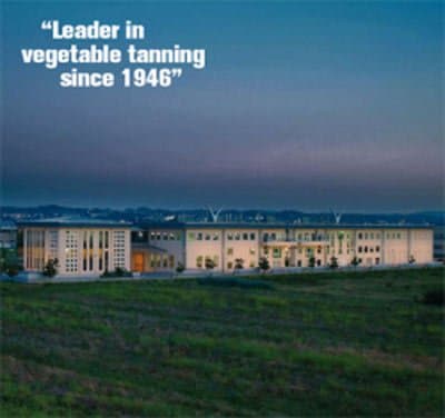 Ausonia Conceria - Immagine 1