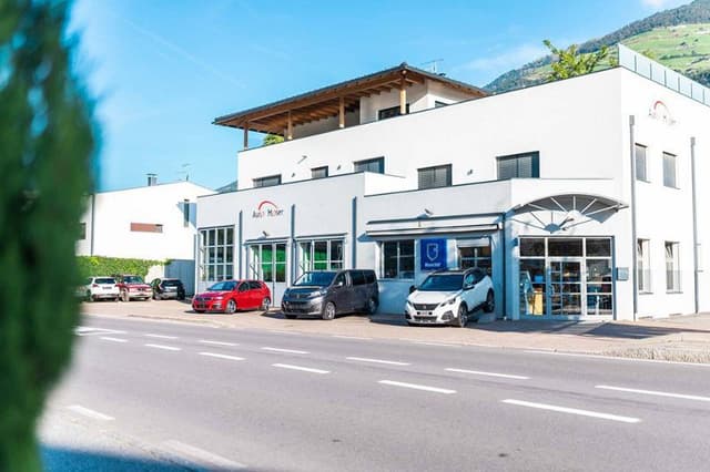 Auto Moser - Immagine 1