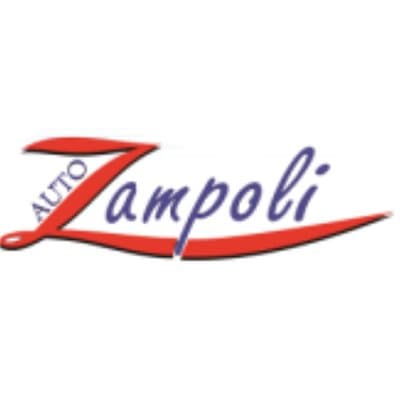 Auto Zampoli - Immagine 2