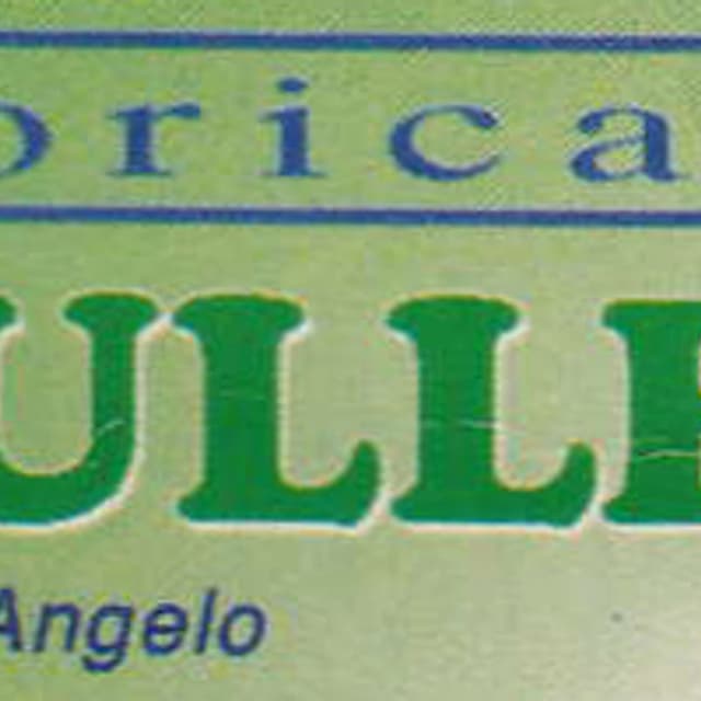 Autoricambi Paullese - Immagine 1