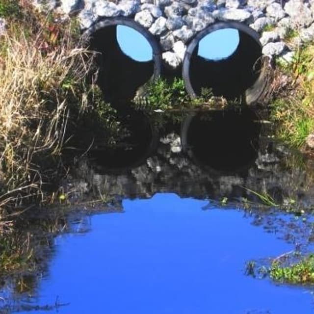 Autospurghi Riccardi - Immagine 2