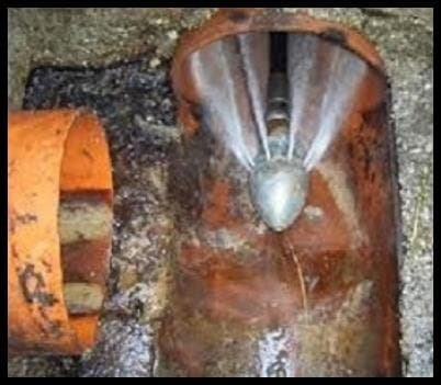 Autospurgo Ceci - Immagine 1