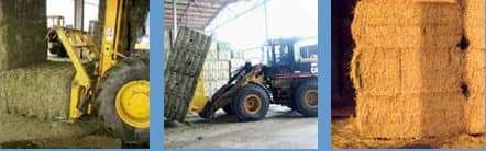 Autotrasporti F.lli Rigotti - Immagine 1