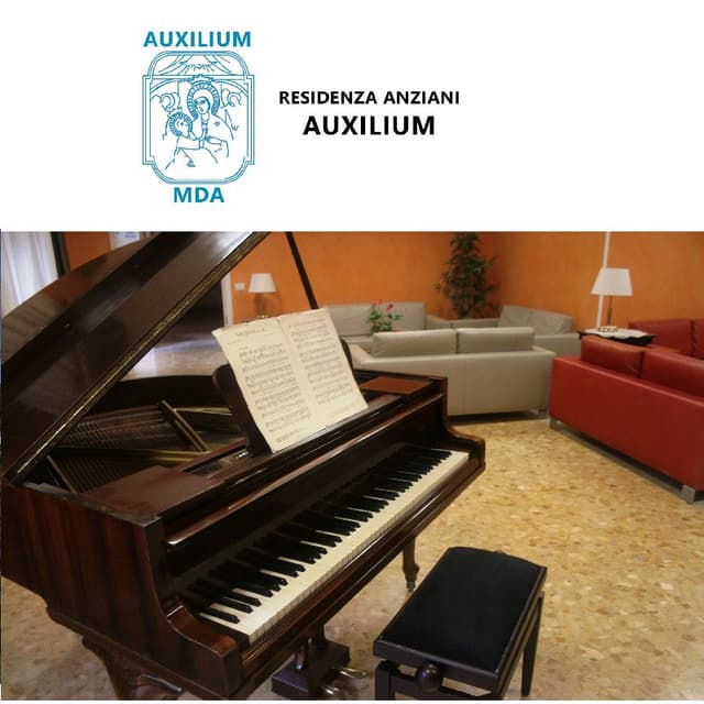 Auxilium Madonna del Divino Amore - Immagine 2