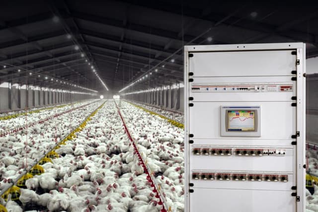 Avitec Automazione Avicola - Immagine 1