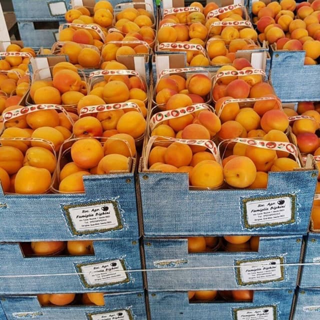 Azienda Agricola Famiglia Bighini - Immagine 1