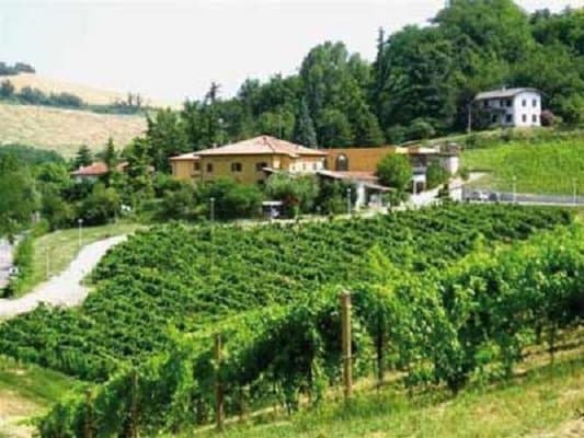 Azienda Agricola Famiglia Chicco - Immagine 2