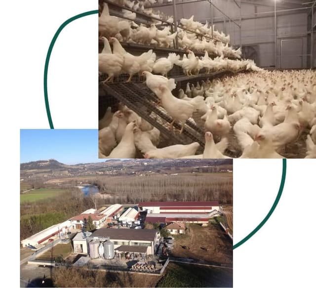 Azienda Agricola Fornasero - Immagine 1