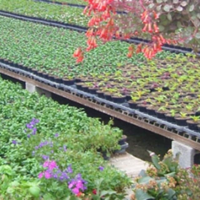 Azienda Agricola Freschi - Immagine 1