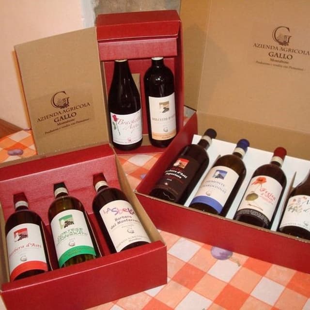 Azienda Agricola Gallo - Vini Piemontesi - Immagine 1