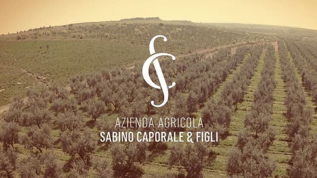 Azienda Agricola Malerba Loreta - Immagine 1
