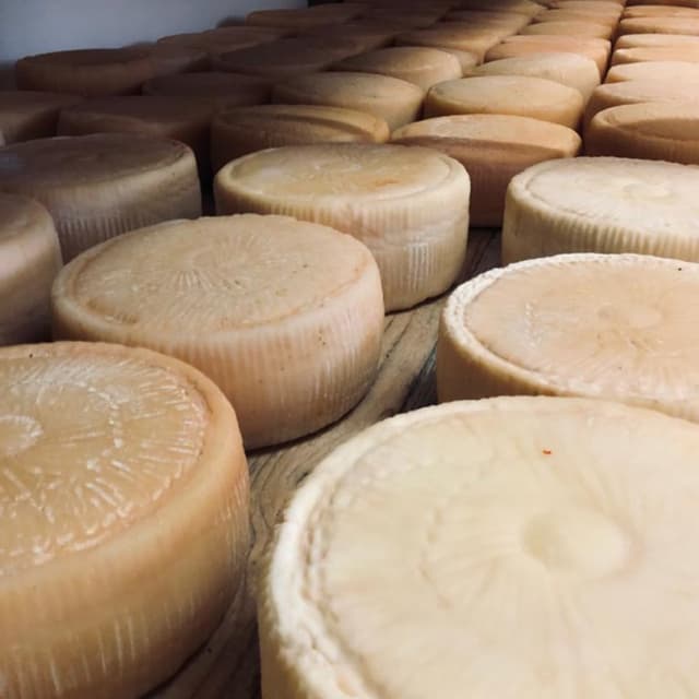 Azienda Agricola Masseria Veneri - Immagine 1