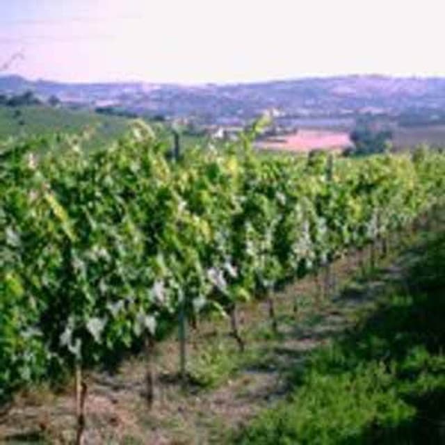 Azienda Agricola Mercante - Immagine 1