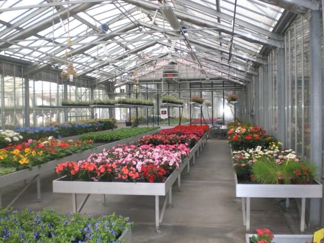 Azienda Florovivaistica Verzeletti Tiziano - Immagine 2