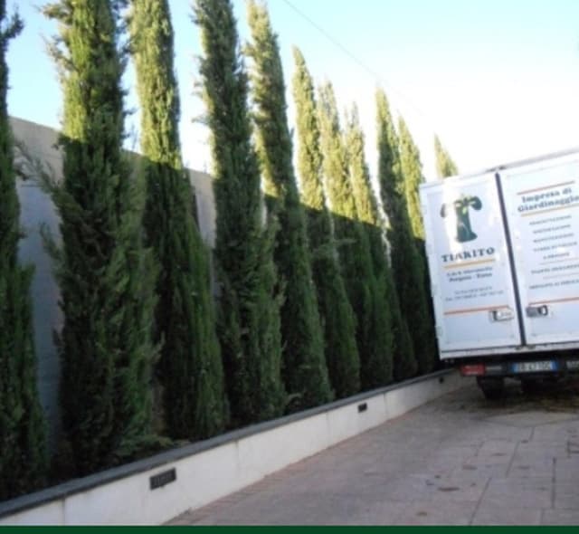 Azienda Vivaistica Tirrito - Immagine 1