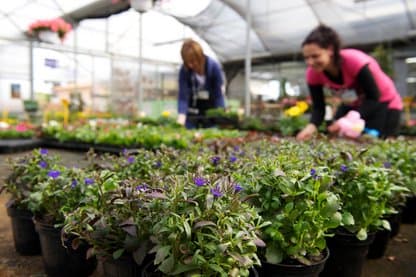 Bartoli Garden - Immagine 2