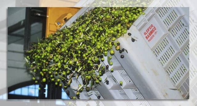 Basiricò - Immagine 2