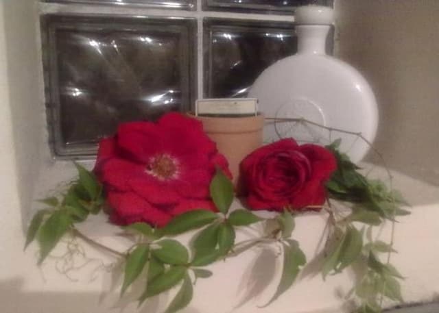 B&B Ciliegio Felice - Immagine 1