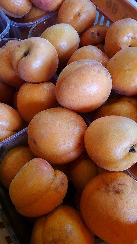 B&B  Locanda Proni - Immagine 2