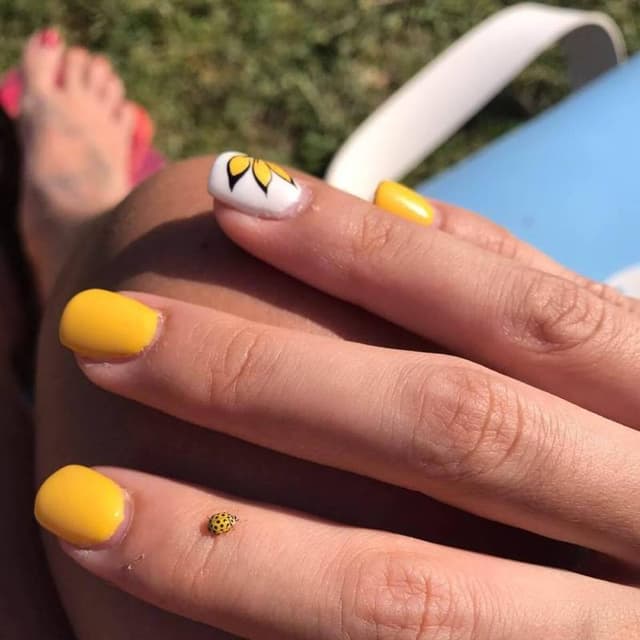 Beauty Sary - Immagine 2