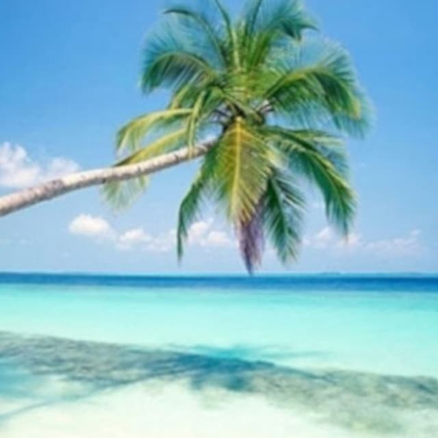 Befi Tour - Immagine 2