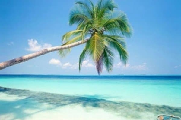 Befi Tour - Immagine 1