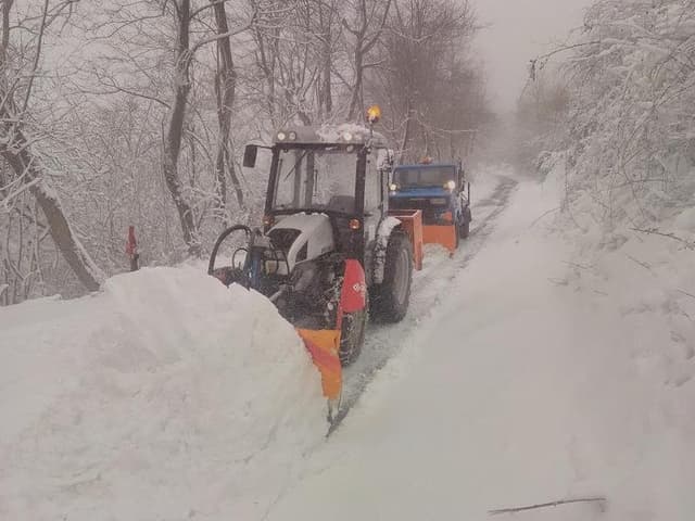 Bel.Gia - Immagine 1