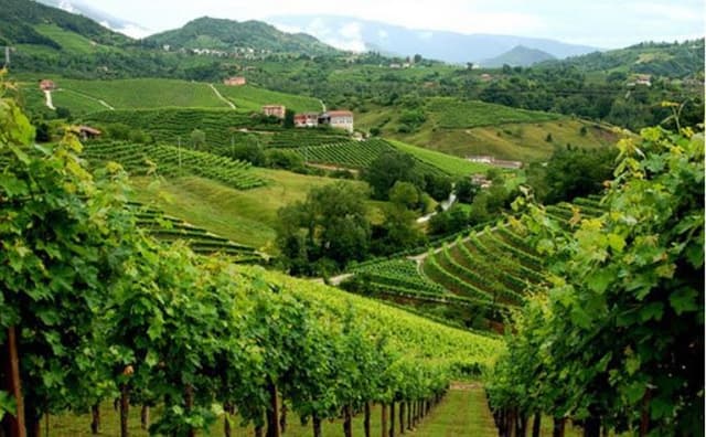 Bellussi Spumanti - Immagine 1