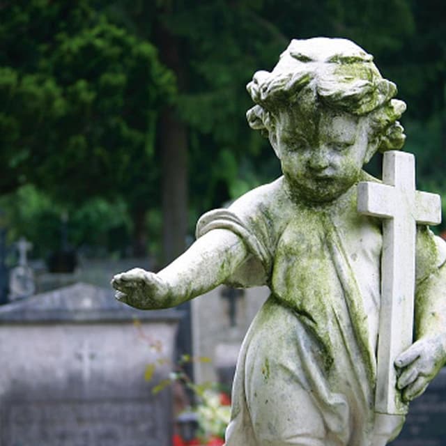 Beneventi Onoranze Funebri - Immagine 1