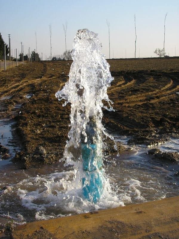 Benfatti - Immagine 1