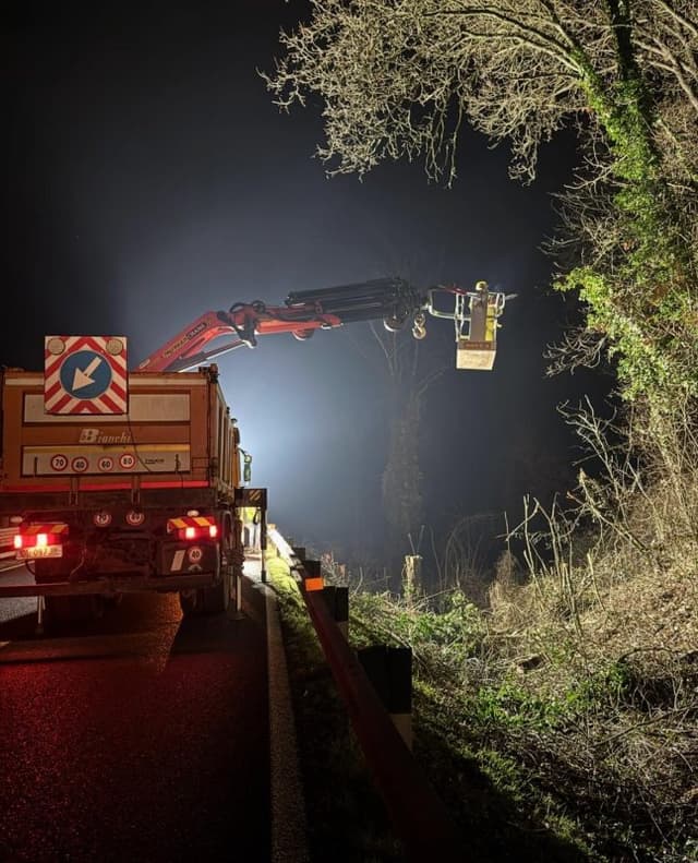 Beni Servizi - Immagine 1