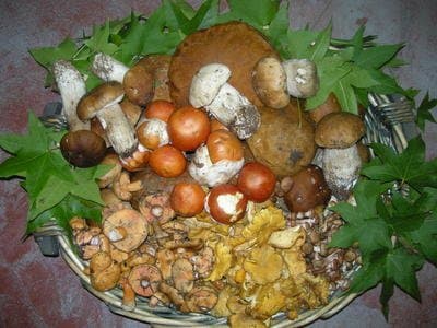 Bera Daniele - Immagine 2