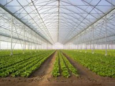 Bernardello Serre - Immagine 1