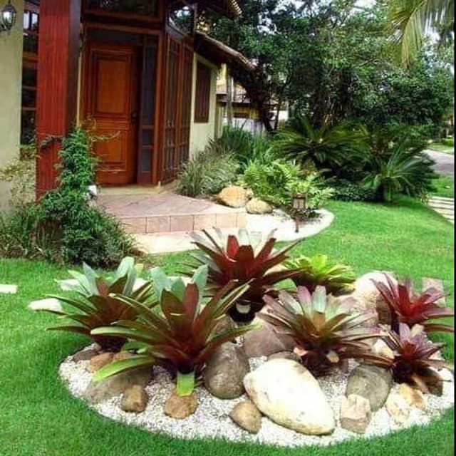 Berra Piante - Immagine 1