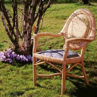 Bertozzi Giunco - Immagine 1