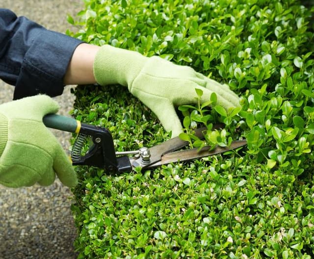 Bevacqua Mario Pietro - Immagine 1