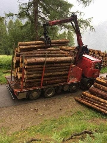 Bezzi Legnami - Immagine 2