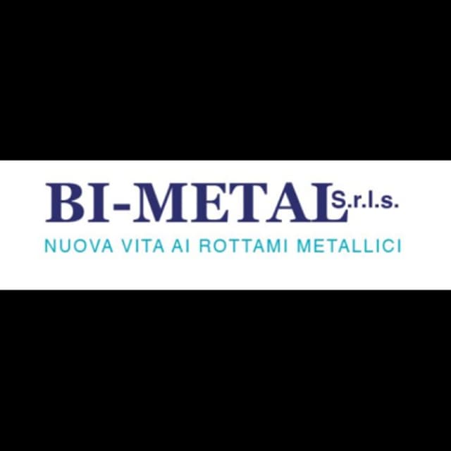 Bi-Metal - Immagine 2