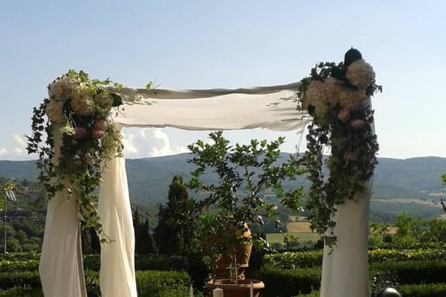 Bianchi Fiori e Piante - Immagine 1